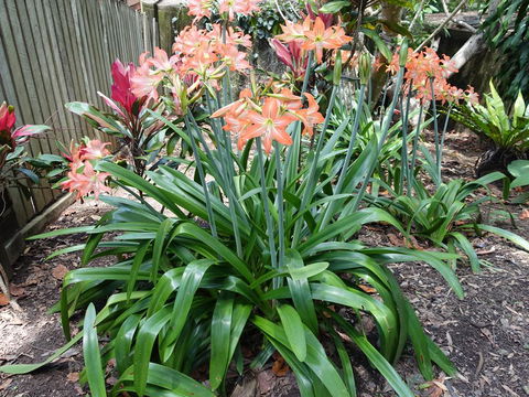 Winston Cottage - Great Ocean Road Tourism 2