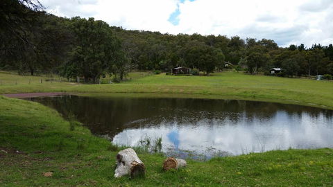Wisteria Cottage - Great Ocean Road Tourism 1