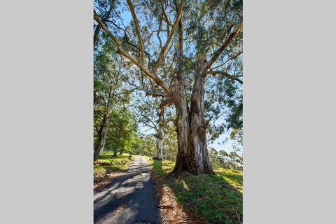 WOOLWAY - Great Ocean Road Tourism 1
