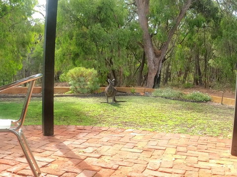 Yallingup Pet Friendly Bush Retreat - Great Ocean Road Tourism 3