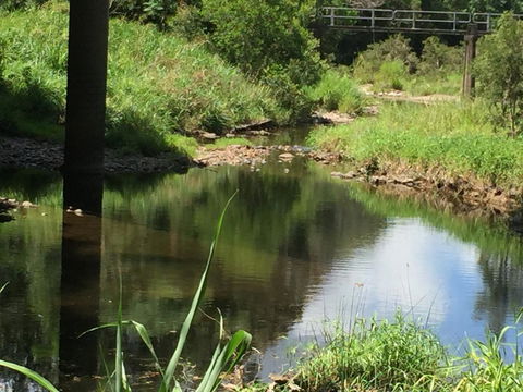 Yandina Caravan Park - Great Ocean Road Tourism 2