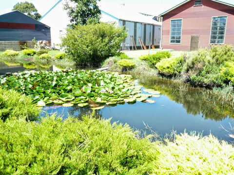 Yarragon Dairy Family Room - Great Ocean Road Tourism 1