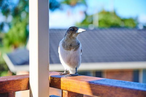 A Kids Dream & Paradise For Parents - Great Ocean Road Tourism 2
