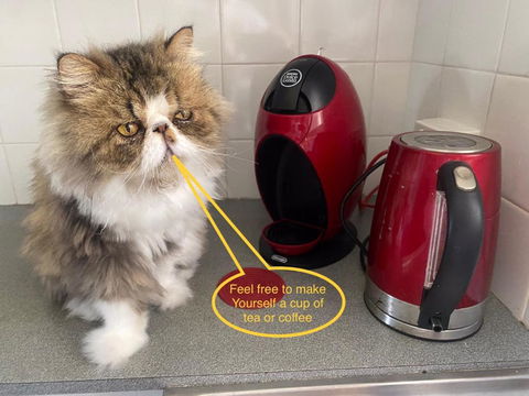 A Mini Slice Of Fremantle - Great Ocean Road Tourism 2