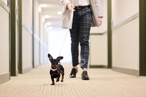 Abode Phillip - Great Ocean Road Tourism 4