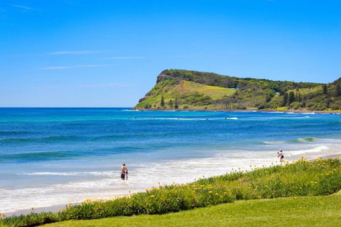 Absolute Beachfront Apartment 11B - Great Ocean Road Tourism 3