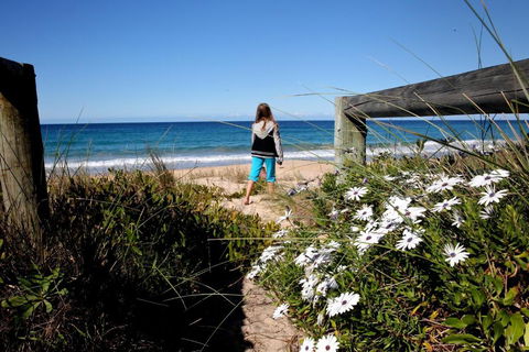Absolute Beachfront Mollymook - Great Ocean Road Tourism 4