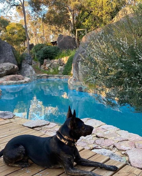 A Paradise For Dogs And A Magical Retreat For Hoomans - Great Ocean Road Tourism 4