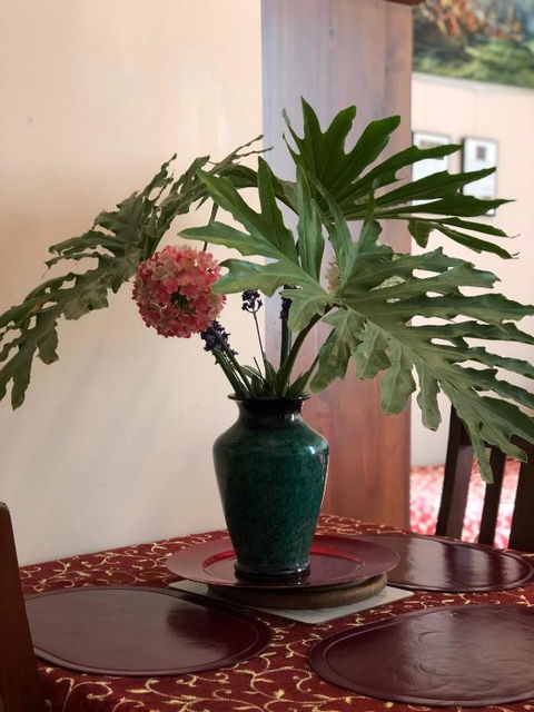 Albany Foreshore Guest House - Great Ocean Road Tourism 2