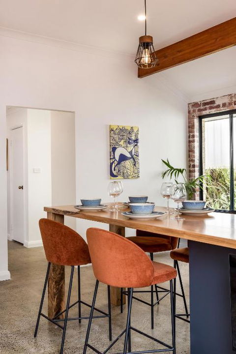 Alley Cats - Great Ocean Road Tourism 3