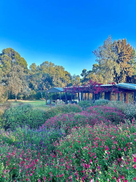 Alluca Villa McLaren Vale Vineyard Escape - Great Ocean Road Tourism 4