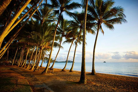 Alamanda Palm Cove By Lancemore - Great Ocean Road Tourism 3