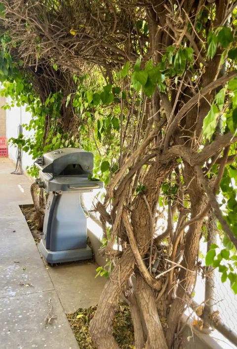 Argent Abode CBD - Great Ocean Road Tourism 1