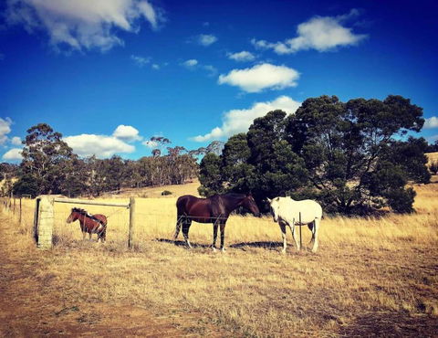 Architecturally Designed Rural Retreat - Great Ocean Road Tourism 4