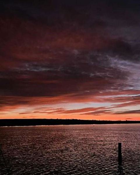 Ark-imedes - Unique Float Home On The Murray River - Great Ocean Road Tourism 4