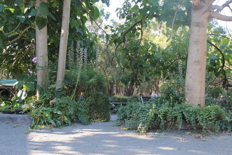 Avoca Park Equestrian Farmstay - Great Ocean Road Tourism 2