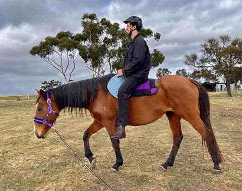 Avondale Heights By Tiny Away - Great Ocean Road Tourism 3