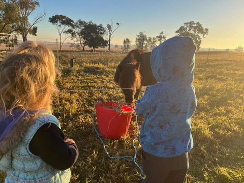 Avondale Heights By Tiny Away - Great Ocean Road Tourism 4