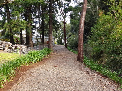 Bee-Haven Cottage - Great Ocean Road Tourism 4