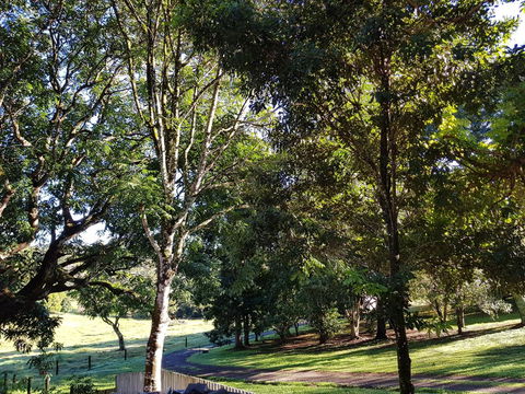 Bee-Haven Cottage - Great Ocean Road Tourism 7