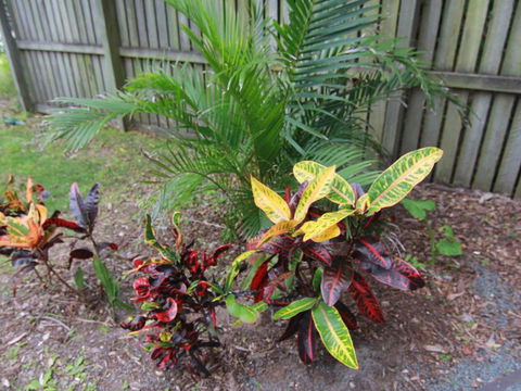 Beachside By Discover Stradbroke - Great Ocean Road Tourism 4