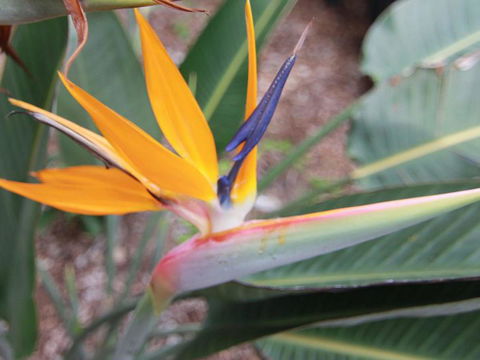 Beachside By Discover Stradbroke - Great Ocean Road Tourism 2