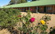 Bridge Motel Wellington - thumb 3