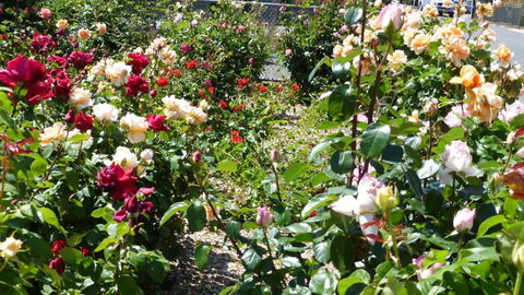 Cabernet Cottage - Great Ocean Road Tourism 3