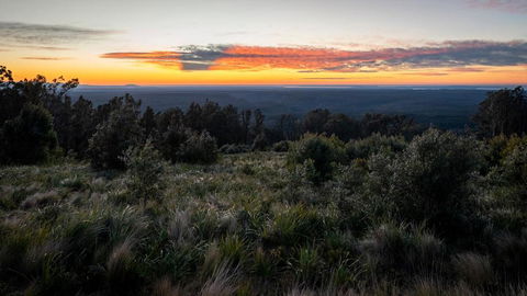 Cabin On The Escarpment - Forest Bathe - Star Gaze - Great Ocean Road Tourism 2