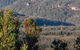 Cabin On The Escarpment - Forest Bathe - Star Gaze - thumb 3