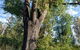 Cabin On The Escarpment - Forest Bathe - Star Gaze - thumb 4