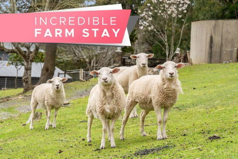 Carawatha On The Range - Unique Farm Stay - Great Ocean Road Tourism 0