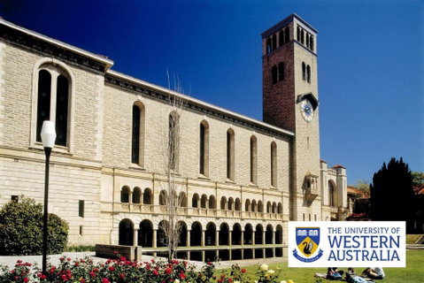 Crawley Cosy Urban Retreat Close To CBD UWA Free Park Netflix - Great Ocean Road Tourism 4