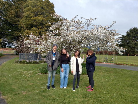 Cradle At Casa Blanca Country Retreat - Great Ocean Road Tourism 4