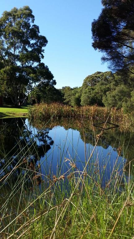 Crystal Springs Holiday Accommodation - Great Ocean Road Tourism 0