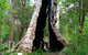 Crystal Springs Holiday Accommodation - thumb 3