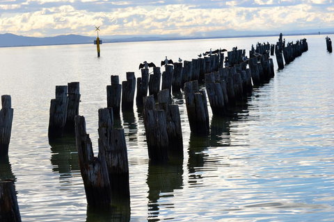 323 On Jetty - Great Ocean Road Tourism 2