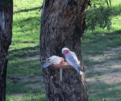 A Stanthorpe Getaway - Great Ocean Road Tourism 2