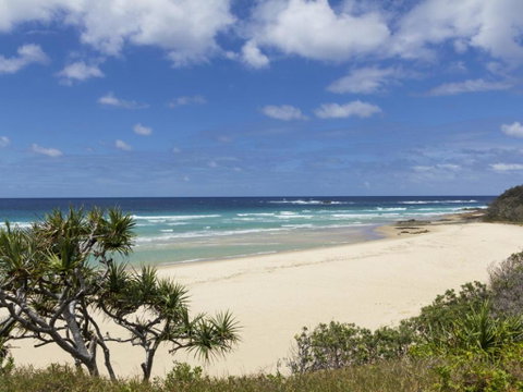 Acutterbove - Great Ocean Road Tourism 3