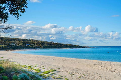 Eagle Bay Summerhaus - Great Ocean Road Tourism 1