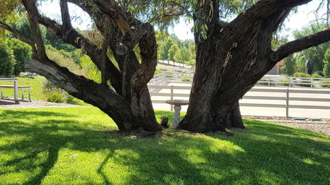 Equestrian Farm Stay - Great Ocean Road Tourism 0