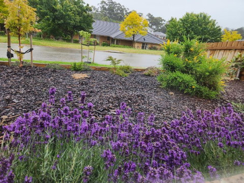 Getaway On Amaroo Way - Great Ocean Road Tourism 1