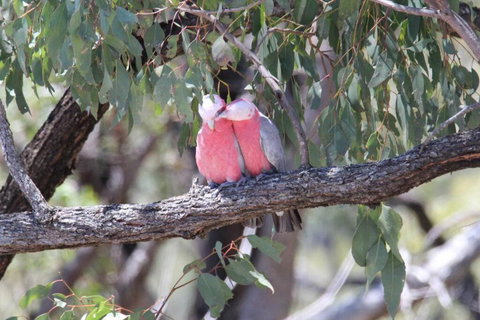 Glenaven Country Escape - Great Ocean Road Tourism 4