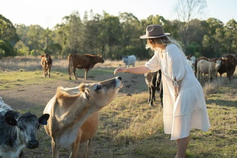 Golden Hill Farmstay By Tiny Away - Great Ocean Road Tourism 4