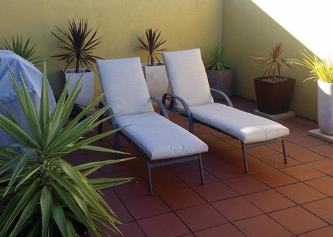 High On Penguin - Great Ocean Road Tourism 1