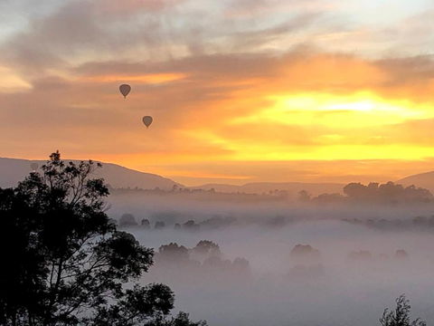 Honeycomb Hill Of Yarra Valley - Great Ocean Road Tourism 1