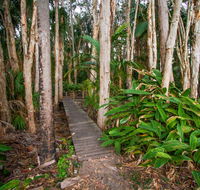 Agnes Palms Accommodation - Great Ocean Road Tourism