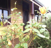 Albion Cottage - Great Ocean Road Tourism