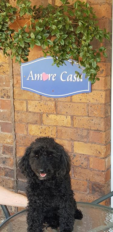 Amore Casa Tenterfield - Great Ocean Road Tourism 2