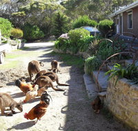 Anchorage Apartments - Great Ocean Road Tourism